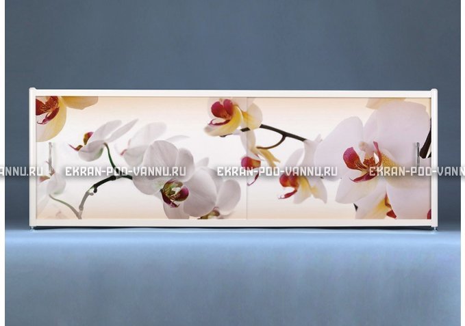 Раздвижной ФОТО экран - Orchid – купить по цене 8500 руб. в интернет-магазине в городе Киров картинка 1