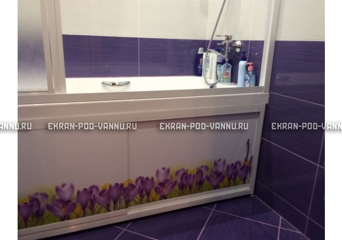 Экран на роликах EUROPLEX  Ирисы – купить по цене 12400 руб. в интернет-магазине в городе Киров картинка 3
