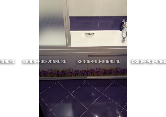 Экран на роликах EUROPLEX  Ирисы – купить по цене 12400 руб. в интернет-магазине в городе Киров картинка 4