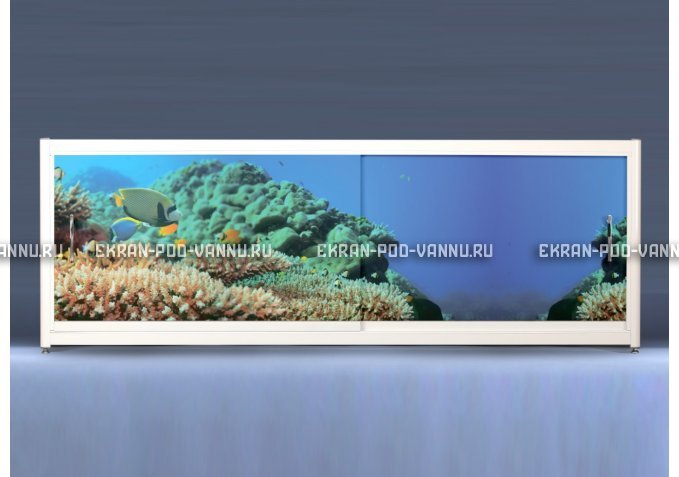 Экран на роликах EUROPLEX Коралловые рифы – купить по цене 12400 руб. в интернет-магазине в городе Киров картинка 1